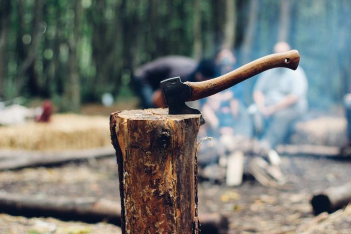 peut on abattre des arbres sur son terrain